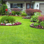 Landscaping 101