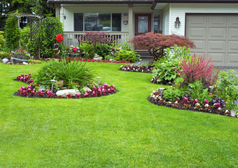 Landscaping 101