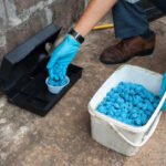 Why Pest Control Matters In Every Household