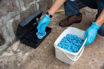 Why Pest Control Matters In Every Household